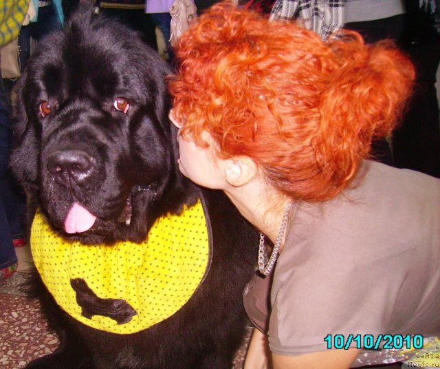 Фотография № 51500