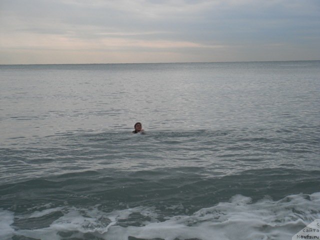 Фотография № 51505