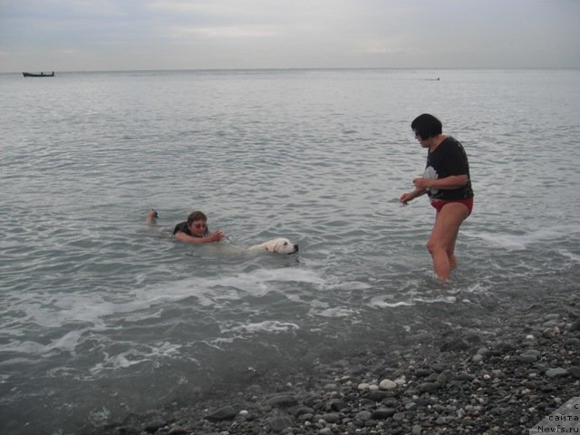 Фотография № 51510