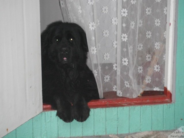 Фотография № 51513