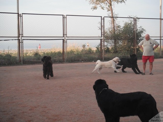 Фотография № 51516