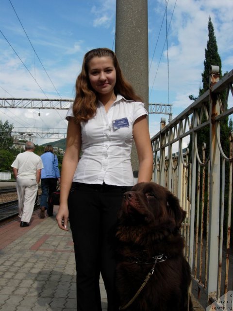 Фото: ньюфаундленд Конфуций, проводница Оля