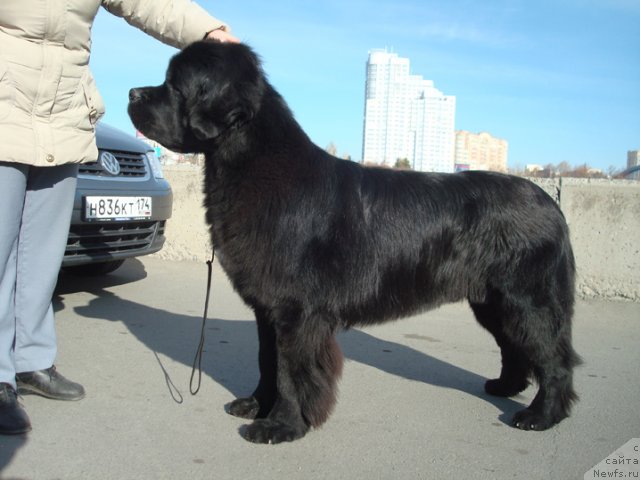 Фотография № 51525