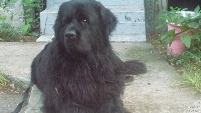 Фотография № 51578