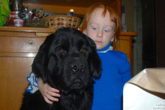 Фото: Наталья Смирнова