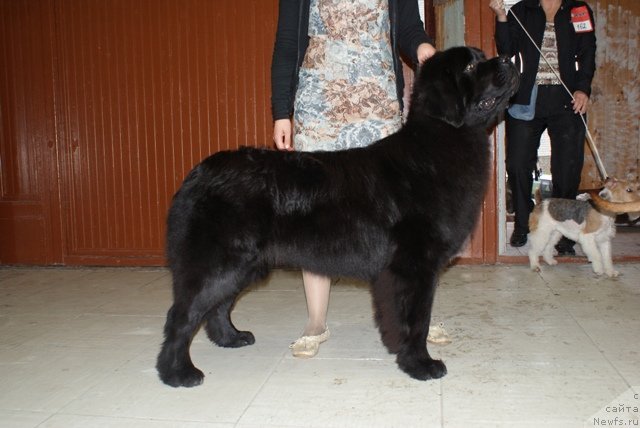 Фотография № 51609