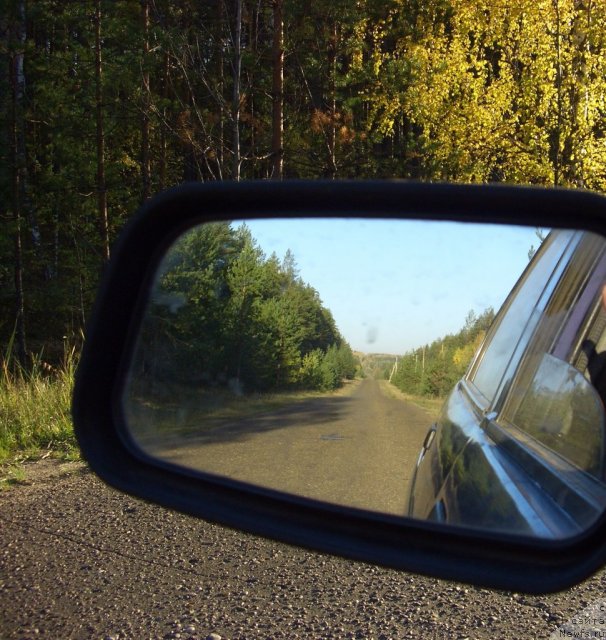 Фотография № 51699