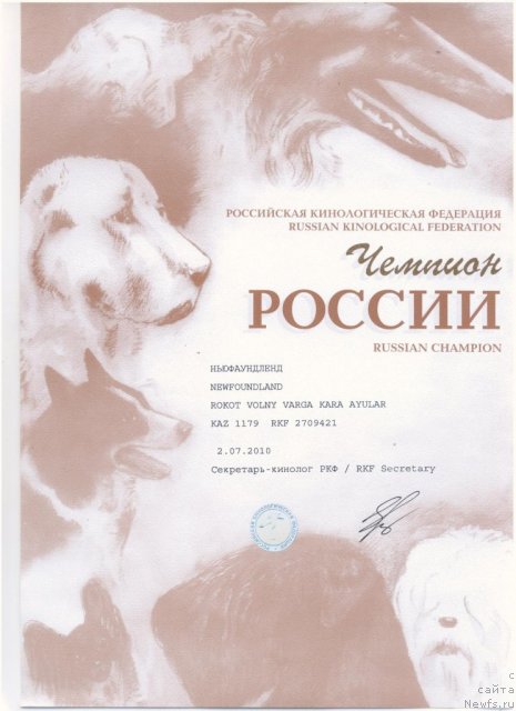 Фотография № 51737