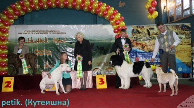 Фотография № 51745