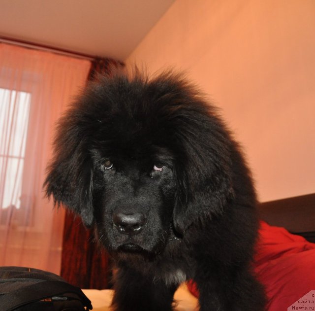 Фото: Елена Дресвянская