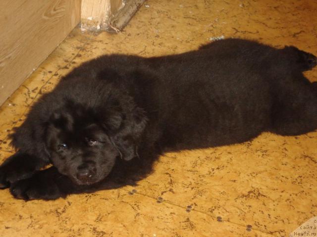 Фото: Мария Жирнова