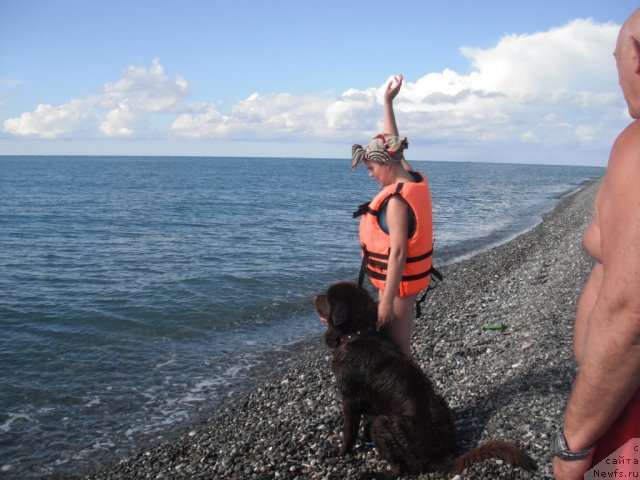 Фотография № 51776