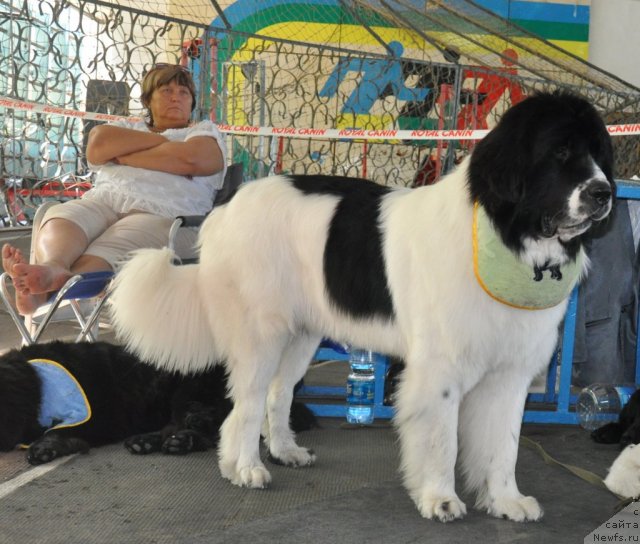 Фотография № 51777