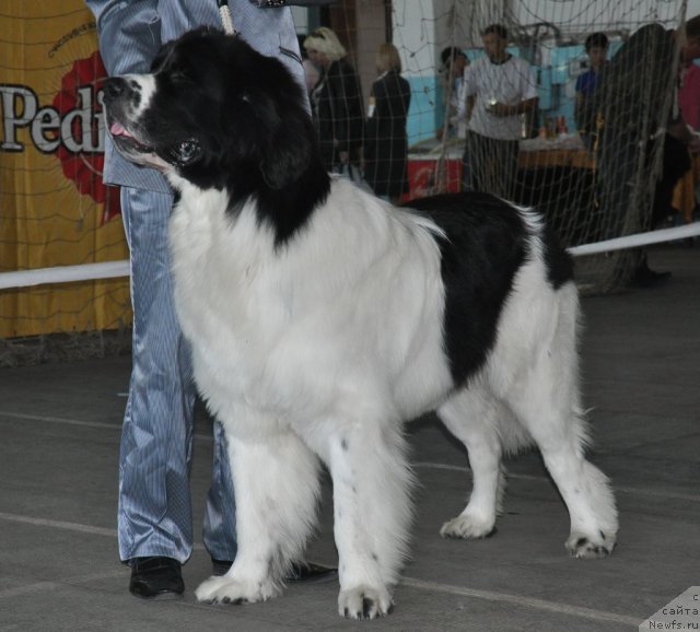 Фотография № 51779