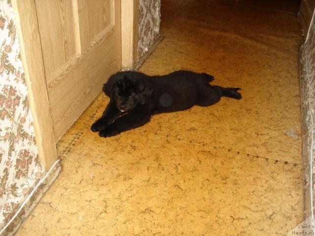 Фото: Мария Жирнова