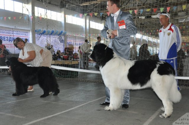 Фотография № 51780