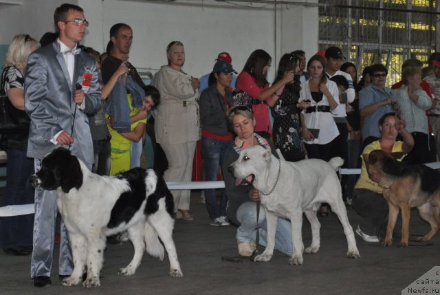 Фотография № 51783