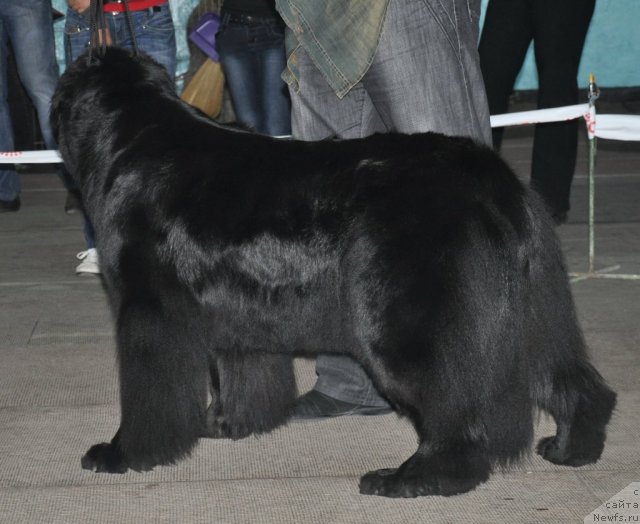 Фотография № 51800