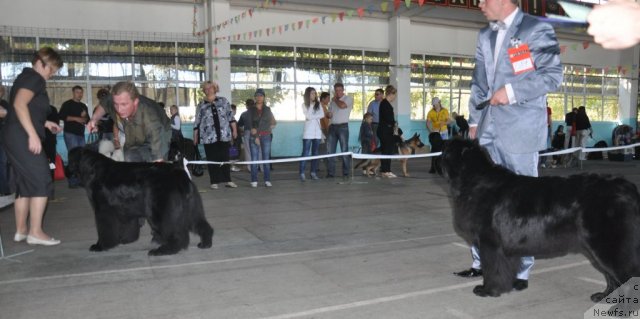 Фотография № 51801