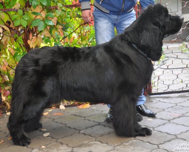 Фотография № 51804