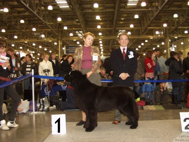 Фотография № 51807