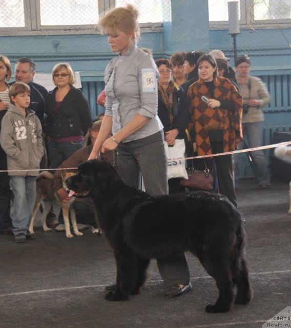 Фотография № 51826