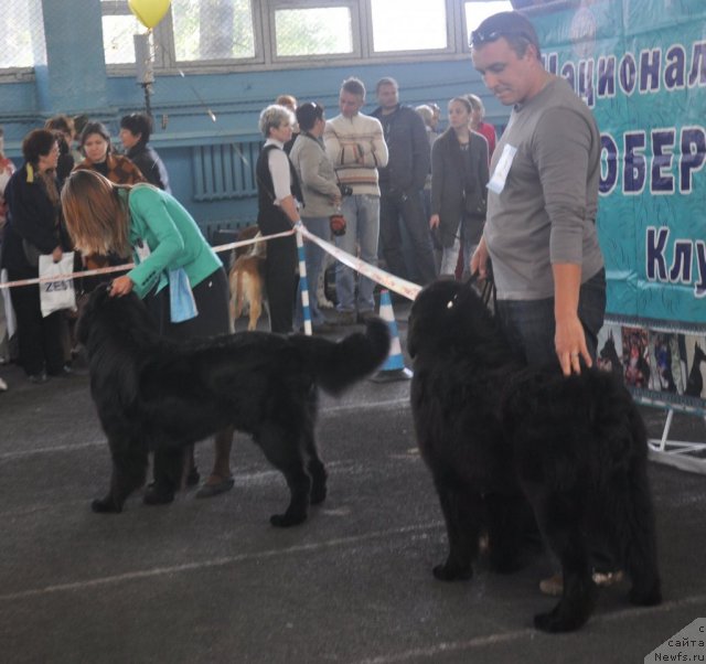 Фотография № 51827