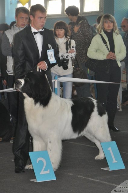 Фотография № 51830