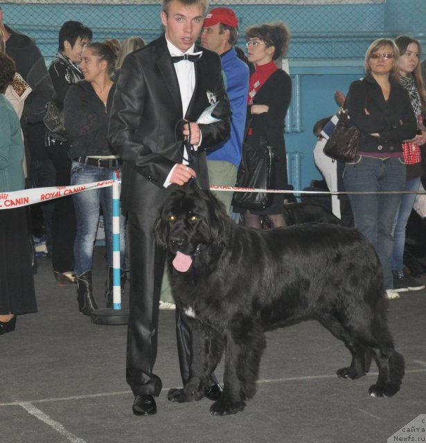 Фотография № 51831