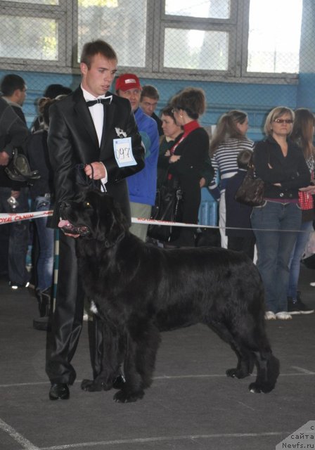 Фотография № 51832