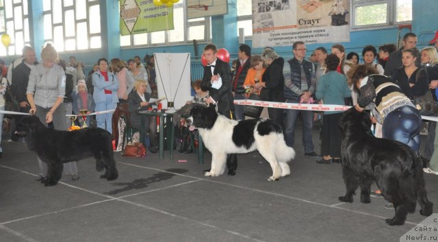 Фотография № 51834