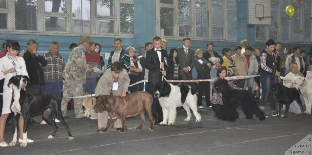 Фотография № 51836