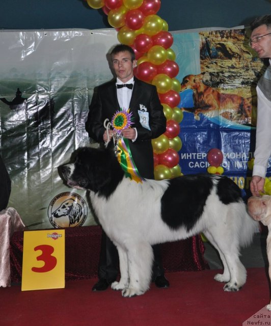 Фотография № 51837