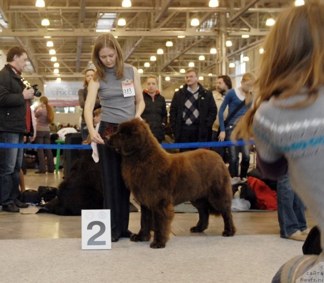 Фотография № 51843