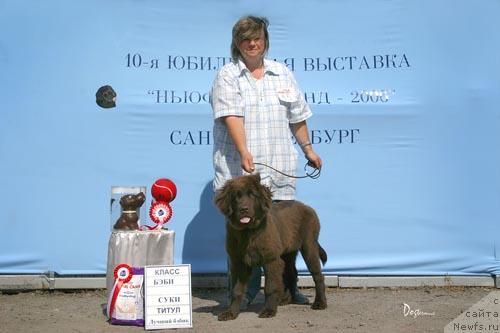 Фотография № 5186