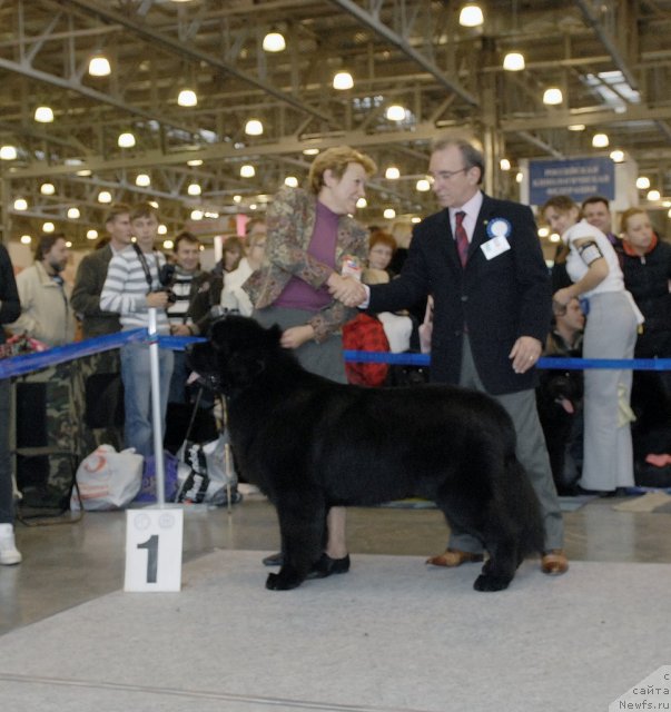 Фотография № 51870