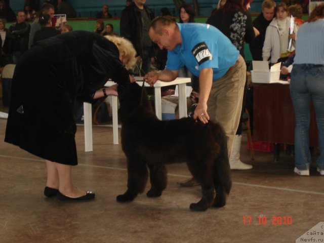 Фотография № 51900