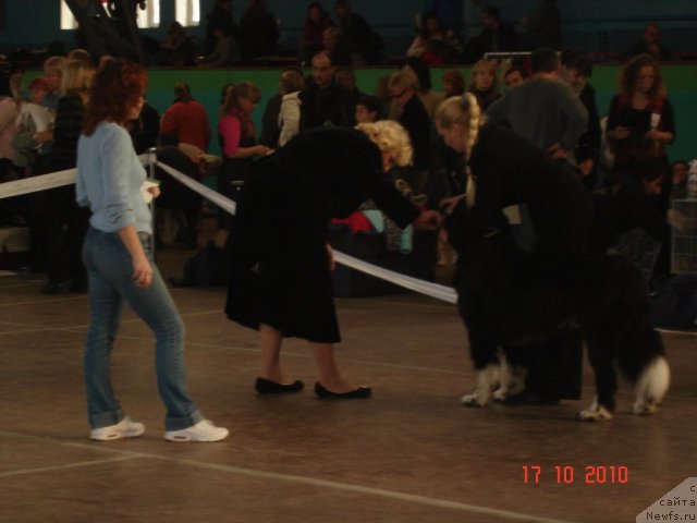 Фотография № 51904