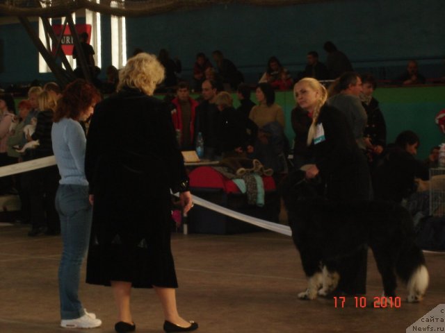 Фотография № 51905