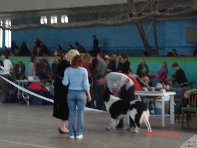 Фотография № 51906