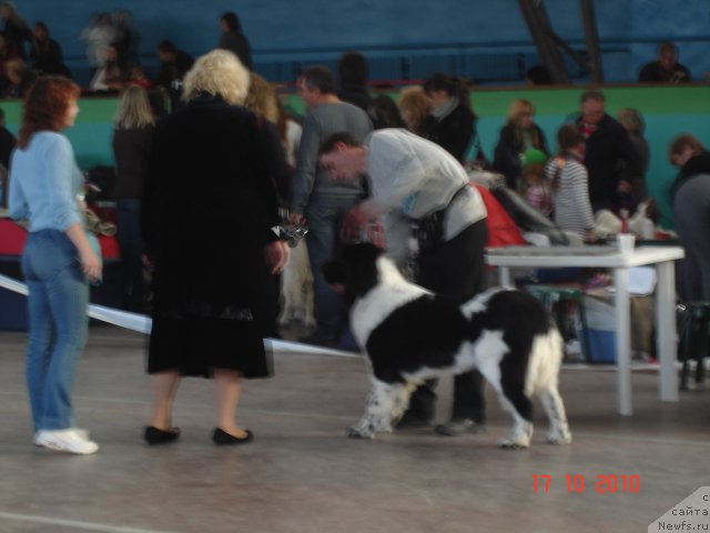 Фотография № 51907