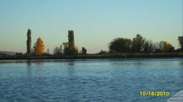 Фотография № 51927