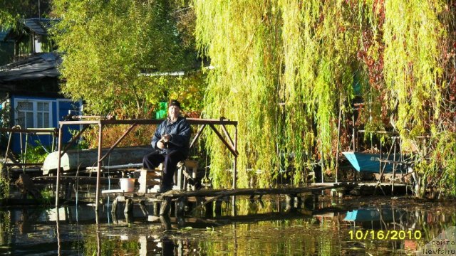 Фотография № 51928