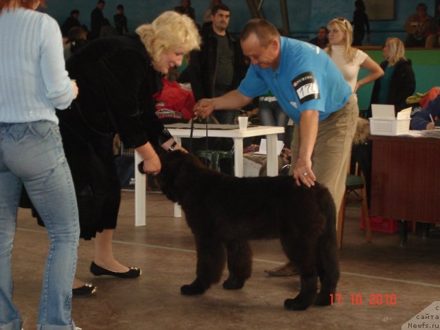 Фотография № 51947