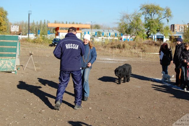 Фото: Судья Лисовец, Ларина Д.В. Мэгги