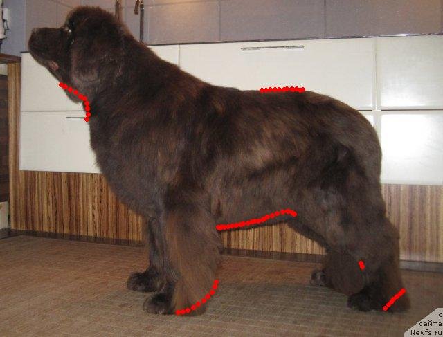 Фотография № 52010