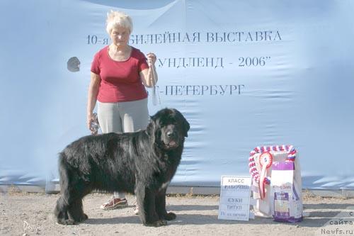 Фотография № 5203