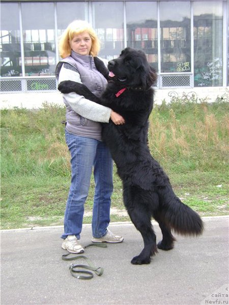 Фото: Елена Муха