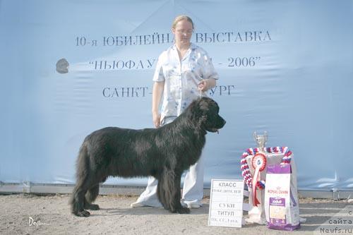 Фотография № 5205