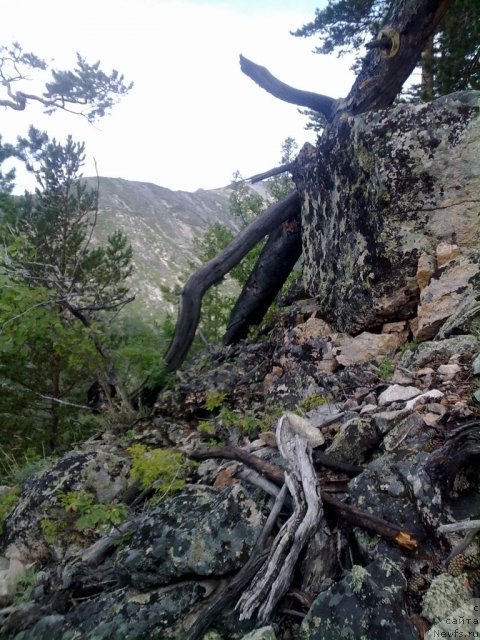 Фотография № 52080